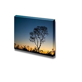 Canvas Prints Wall Art - Ipe Tree at Sunset | Modern Wall Decor/Home Decoration Stretched Gallery Canvas Wrap Giclee Print. Ready to Hang - 12" x 18"