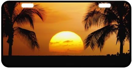 Tropical Paradise Ocean Beach Scene with Palm Trees Novelty License Plate Decorative Front Plate 6.1" X 11.8"