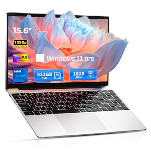 2026 Windows 11 Pro Laptop 16GB RAM 512GB SSD