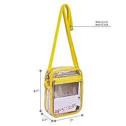 USPECLARE Clear Purse Stadium Clear Messenger Bag
