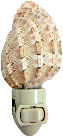 Westin Works Gifts Real Seashell Nightlight Harpa Shell Light 4 Inch Tall Home Nautical Beach Decoration Gift