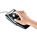 Kensington 64325 - Trackball Expert Mouse, ScrollRing, Black/Silver