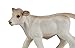 Safari Ltd Farm Charolais Calf