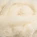 Carded Scoured Wool Filler: 1 lb Bag, Natural White
