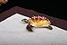 Znewlook Sea Turtle Crystal Studded Pewter Jewelry Trinket Box Czech Crystal Turtle Trinket from