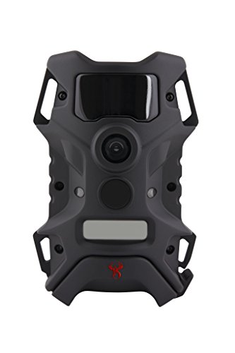 Wildgame Innovations Terra Extreme 10 Lights Out Black Flash Trail Camera