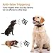 WWVVPET Spray Dog Bark Collar,[2019 Upgraded] Citronella Dog Training Collar (Not Included Citronella Spray),No Electric Shock Safe Harmless,Rechargeable Adjustable Waterproof Dogs (Black)thumb 3