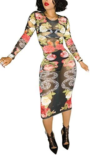 Womens Sexy Crew Neck Long Sleeve Mesh Floral Print See Through Clubwear Pencil Dress