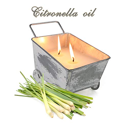 Blisstrip Candele Alla Citronella, Citronella Candele Candele Citronella Esterno Candela Citronella Giardino Citronella Candela Citronella Da Esterno Per Campeggio, Feste Ed Eventi Interno Ed Esterno