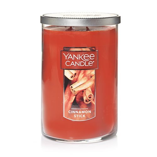 Yankee Candle Large 2-Wick Tumbler Candle, Cinnamon Stick