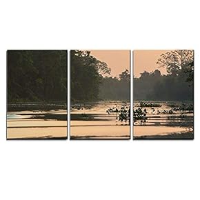 3 Piece Canvas Wall Art - Trees and Jungle on The Catatumbo River Near The Maracaibo Lake - Modern Home Art Stretched and Framed Ready to Hang - 16"x24"x3 Panels