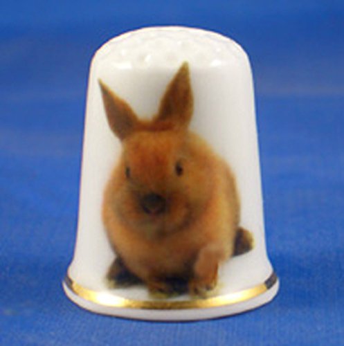 Porcelain China Thimble -- New Zealand Rabbit