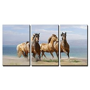 Horses in Summer x3 Panels