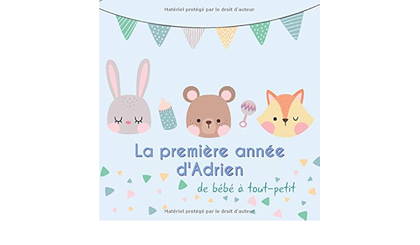 La Premiere Annee D Adrien De Bebe A Tout Petit Album Bebe A Remplir Pour La Premiere Annee De Vie Album Naissance Garcon French Edition Publishing Babymemories Fr Amazon Com Books