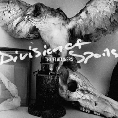 AMAZONS - Amazons - Amazon.com Music