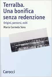 Tecnologie di bonifica dei siti contaminati (Italian Edition)