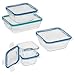 Snapware 10-Piece Total Solution Food Storage Set, Glass