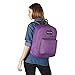 JanSport JS0A3EN23P0 Digibreak Laptop Backpack, Vivid Lilac