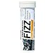 Hammer Nutrition Endurolyte FIZZ Variety 4 Pack - Lemon Lime, Mango, Grape and Grapefruit (Variety 4 Pack)