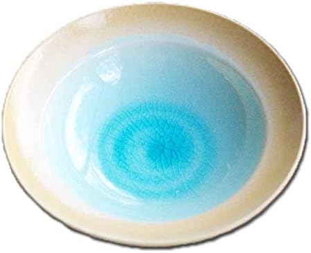 Amazon Co Jp トルコブルーに吸い込まれそうな浅瀬水色の平鉢 和食器 おしゃれ ボウル 前菜 サラダ 小鉢 和皿 丸皿 美濃焼 釉薬 和 釉薬 ホーム キッチン