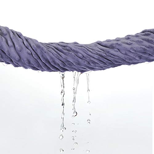 image for TEENCOO Minky Baby Blanket Woodland Super Soft Plush Dot Stroller Crib