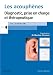 Les Acouphènes: Diagnostic, Prise En Charge Et Thérapeutique (French Edition) by Martine Ohresser
