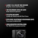 Panasonic LUMIX ZS100