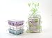 Spa Europa 3pk Melty Cube Wax Melts: Badedas (greens,florals,basil,citrus,amber,musk), Lavender Mist (lavender,morning dew,sweet apple blossom) Sea Kelp (sea salt and marine notes) 3.2 oz each