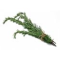 Organic Rosemary, 0.25 oz Clamshell