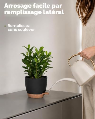 Pot de Plantes d'Intérieur avec Drainage 6 Pcs Pots en Plastique Auto-irrigants 12.7cm/14cm/15.2cm/16.5cm/17.8cm/20.3cm pour Plantes d'Intérieur, Fleurs, Cactus