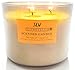 T&H Citronella Candles Scented 3 wick, GIANT 1lb Natural Soy Wax, Glass Jar 17 oz, 80 Hour Burn, Natural Mosquito Repels, Outdoor and Indoor