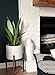 Indoor Planter Large Pot for Plants with Mid Century Modern Wooden Stand (Concrete Cachepot with Ceramic-Like Finish)