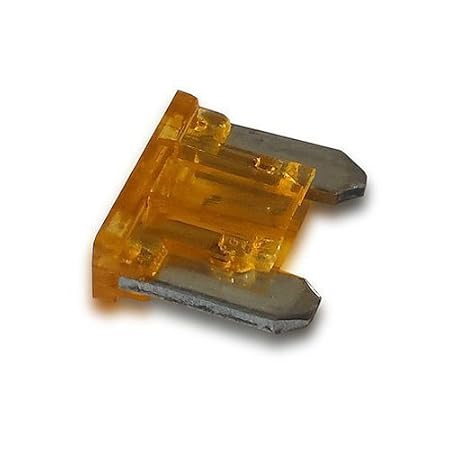 Orificio para fusibles de 5 amperios de microondas: Amazon.es ...