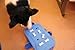 Nina Ottosson DogCasino Interactive game