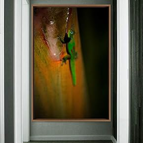 signwin Framed Canvas Wall Art Reptile Contemporary Dramatic...