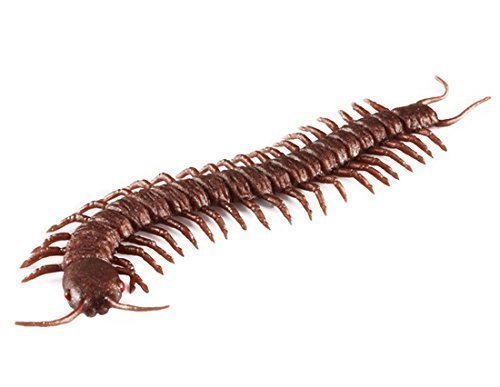 rubber centipede toy