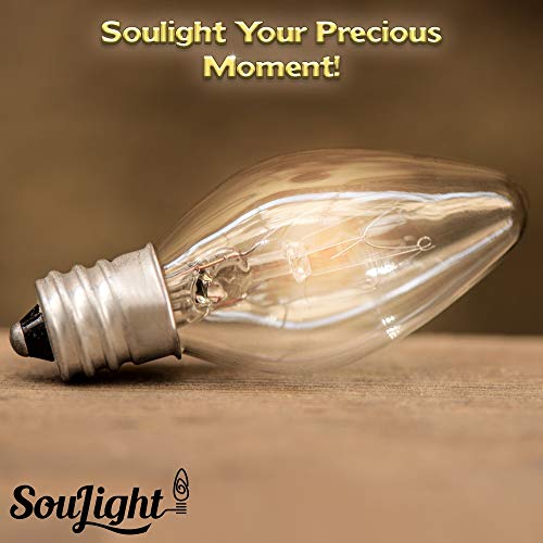 Salt Rock Lamp Bulb 10 Pack + 2 Free 15 Watt Replacement Bulbs for