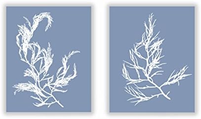 Set of Two Seaweed Prints No. 04 and 11 in French Blue, Coastal Decor Print Set
