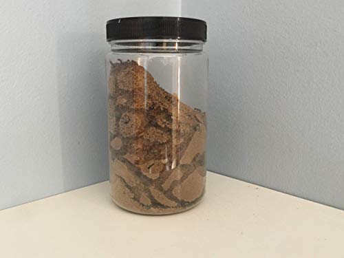 Jar"O" Ants ant farm science STEM project