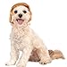 Rubie's Political Billionaire Wig for Pets, Small/Medium
