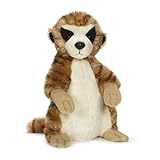 Webkinz October Release Meerkat