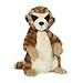 Webkinz October Release Meerkat
