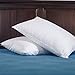 puredown Goose Feather Down Bed Pillows for Sleeping with 2 Outer Protectors, Hotel Standard/Queen Pillows Set of 2 with Cotton Fabric Cover (Pack of 2)