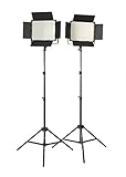 Fovitec  StudioPRO - 2x Daylight 1200 LED Panel Bundle w/ Barndoors & Stands - [Continuous][Adjustable Lighting][V-Lock Compatible]