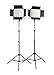 Fovitec  StudioPRO - 2x Daylight 1200 LED Panel Bundle w/ Barndoors & Stands - [Continuous][Adjustable Lighting][V-Lock Compatible]