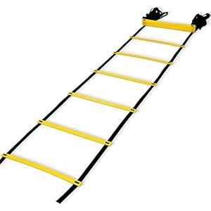 Teenitor 13 Rung Agility Ladder Speed Ladder Training Ladder for Soccer, Speed, Football Fitness Feet Training Carry Bag…