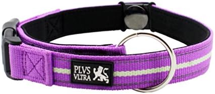 Magnetic Large Dog Collar with high viz strips for night visibility & soft padding for comfort by Plus Ultra 40cm to 55cm