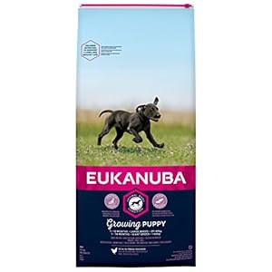 Eukanuba Cachorro Raza grande Pollo