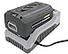 Snow Joe + Sun Joe CERTIFIED AUTHENTIC iCHRG40 EcoSharp Lithium-Ion Battery Charger, 40 Volt, Gray
