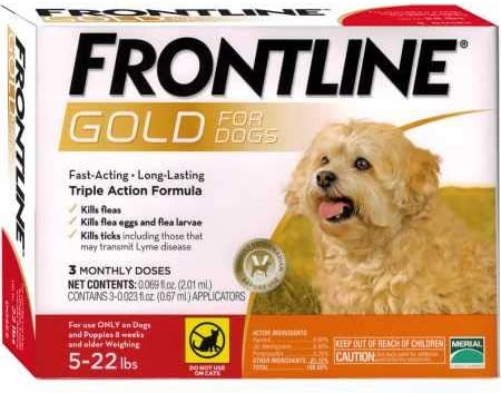 cardboard cat scratcher bed